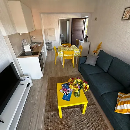 Sena Apartment *